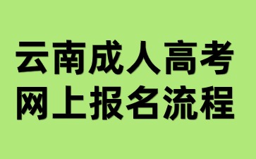 2024年云南成人高考網上報名有哪些流程步驟？