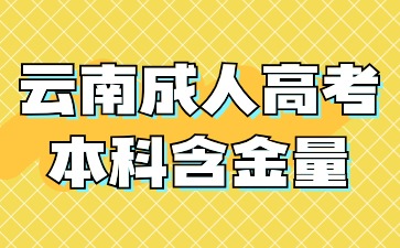 2024年云南成人高考本科學歷畢業含金量怎么樣？