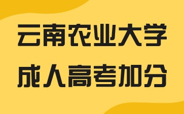 2024年云南農業大學成人高考報名有加分嗎？