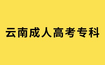 2024年云南成人高考專科報名需要繳納多少費用?