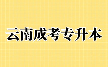 2024年云南省成人高考專升本有哪些優勢?